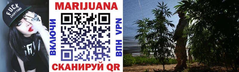 Каннабис OG Kush Туймазы